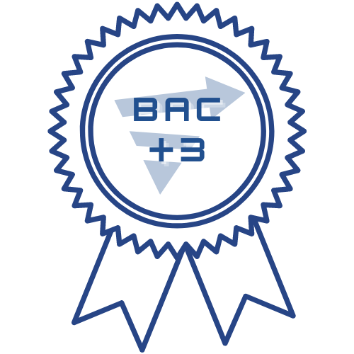BAC +3 Alternance Apprentissage